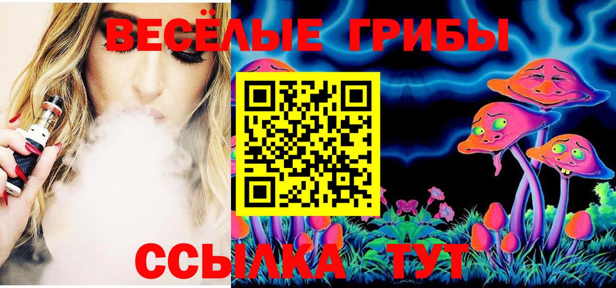 Галлюциногенные грибы Psilocybe Амурск