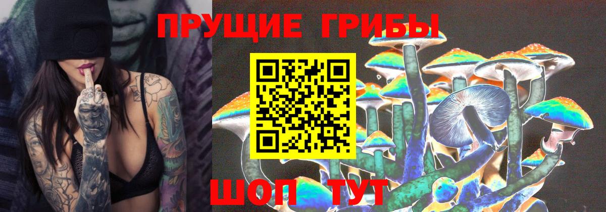 Амурск  Псилоцибиновые грибы Cubensis  где продают   Галлюциногенные грибы MAGIC MUSHROOMS  Вход с VPN 